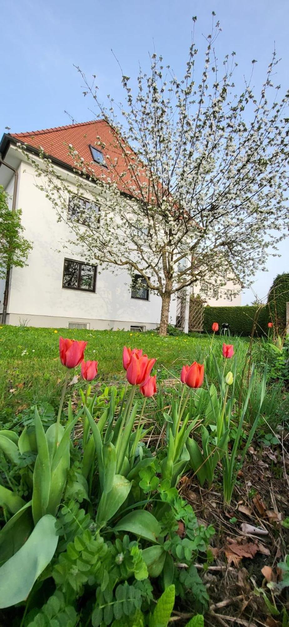 Allgaeu Retreat Bad Wörishofen Exterior foto